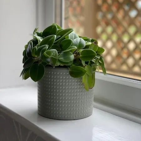 Idyllic Cottage, With Sea Views, Sleeps 6